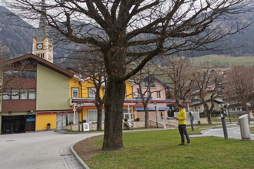 Baumkontrolle und Baumgutachten im Pongau, Alpenbaum Service